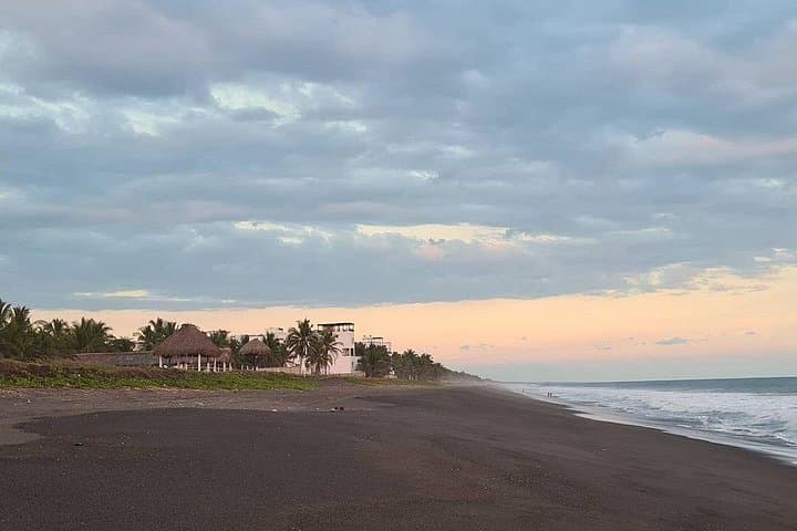 Monterrico Mangroves and Black-Sand Beach: Overnight Luxury Resort & Boat Tour photo 3