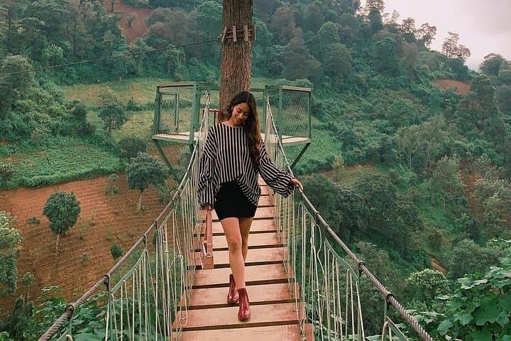 Antigua & Avocado Farm Day Trip: Colonial Streets, Volcano Views, and Canopy Bridges