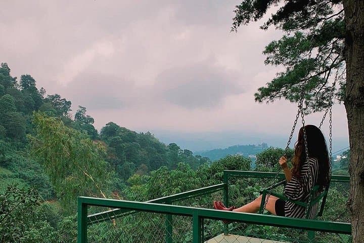 Antigua & Avocado Farm Day Trip: Colonial Streets, Volcano Views, and Canopy Bridges photo 6