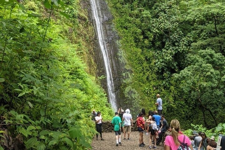 Waikiki to Manoa Falls e-Bike Ride and Hike — Oahu Day Tour photo 4