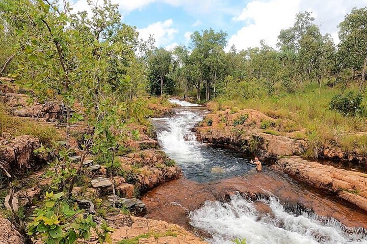 Small-Group Premium Litchfield Day Tour — Waterfalls, Swimming & Gourmet Lunch photo 4