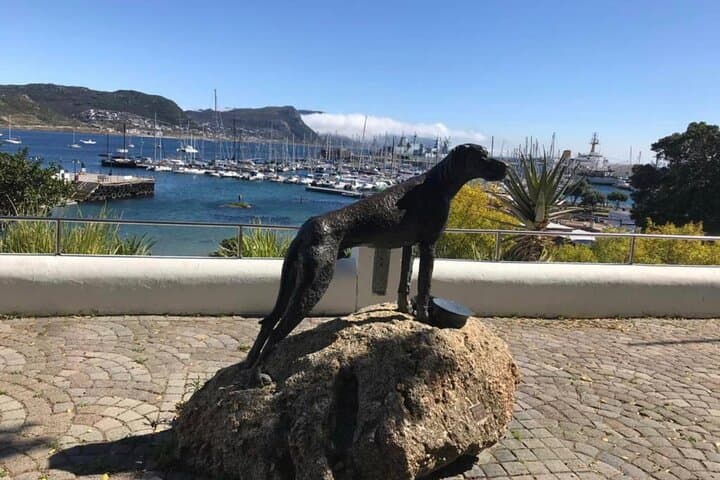 Cape Point & Penguins: Full-Day Cape of Good Hope Tour from Cape Town photo 6