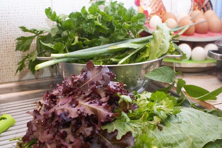 Farm-to-Table Cooking Class with a Costa Rican Family in La Fortuna photo 4
