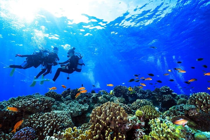 Kerama Islands Day Trip from Naha — Introductory Scuba, Snorkel & Turtle Encounters photo 5
