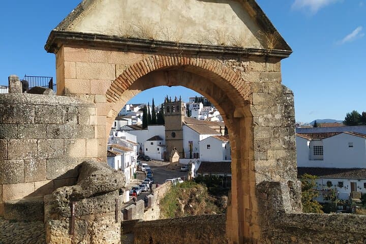 Ronda in a Day: Private 7-Hour Cultural & Viewpoint Excursion from the Costa del Sol photo 4