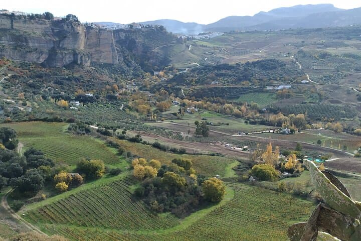 Ronda in a Day: Private 7-Hour Cultural & Viewpoint Excursion from the Costa del Sol photo 5