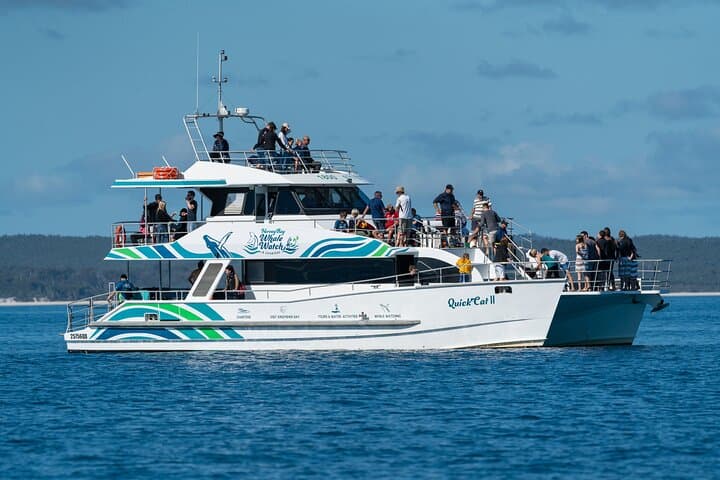 Hervey Bay Half-Day Whale Watching Cruise on Quick Cat II