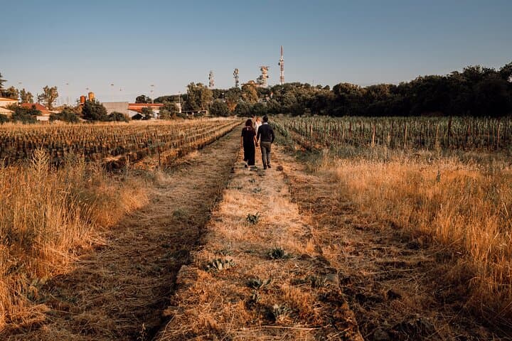 Etna Urban Winery Sunset Vineyard Walk & Tasting Dinner photo 5