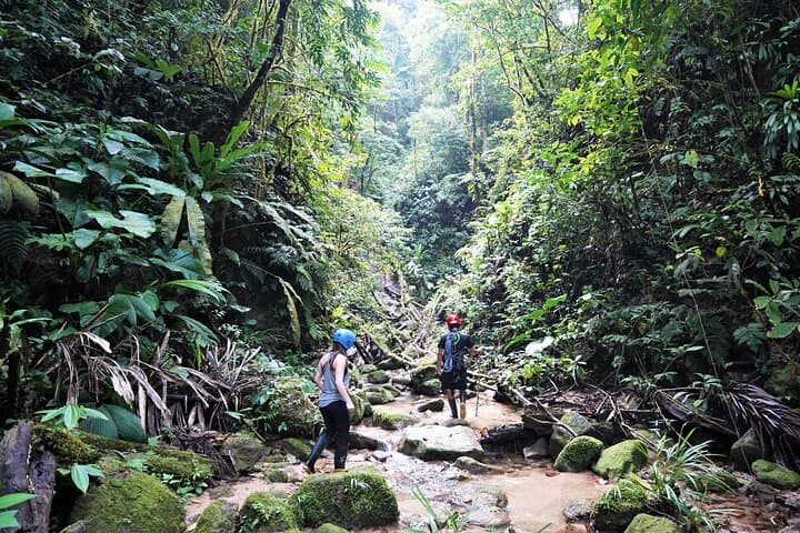 Private 4-Day Amazon Active Adventure from Quito — Kayak, Canyoning & Rafting