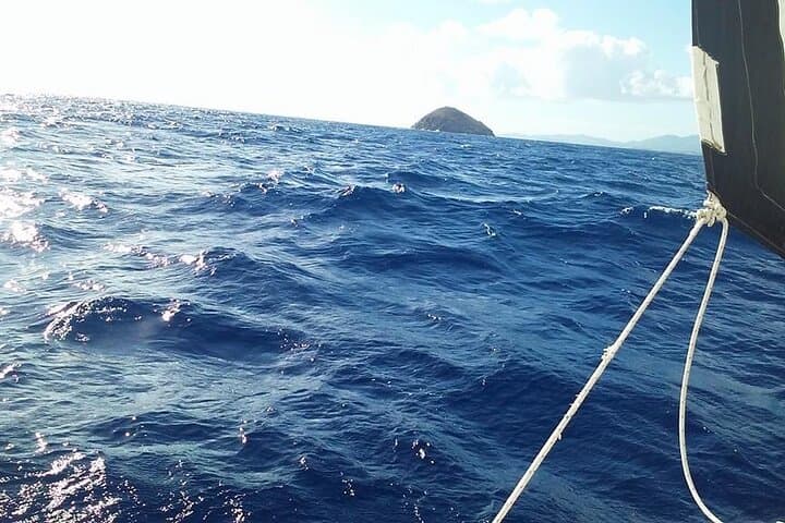 Sail Salt River Bay: Private Pirate-Waters & Shipwreck Tour in St. Croix photo 6