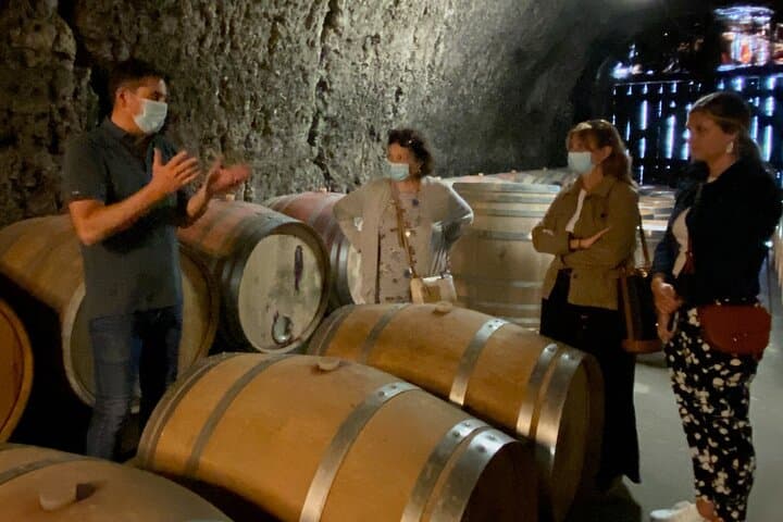 Full-Day Loire Castles & Wine: Chambord, Chenonceau and Two Local Wineries from Paris photo 3