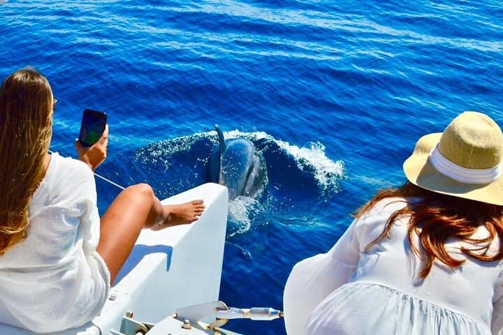 Snorkeling Catamaran Tour at Santa Maria Bay — Cabo San Lucas Reef Adventure photo 3