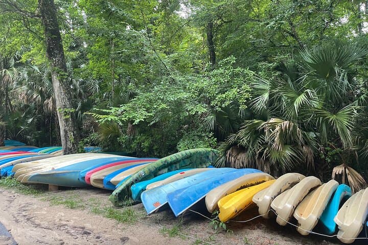 Orlando Private City Sightseeing Tour — Wekiwa Springs, ICON Park & Disney Springs photo 3
