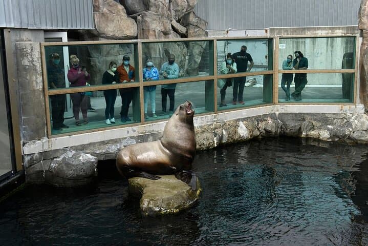 Discover Seward on Foot: Self-Guided Audio Tour of Alaska’s Coastal Gem photo 6