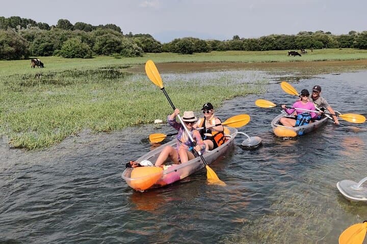 Paddle Shkodra Lake and Buna River: Kayak & SUP through Ramsar Wetlands