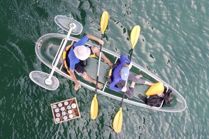 Paddle Shkodra Lake and Buna River: Kayak & SUP through Ramsar Wetlands photo 3