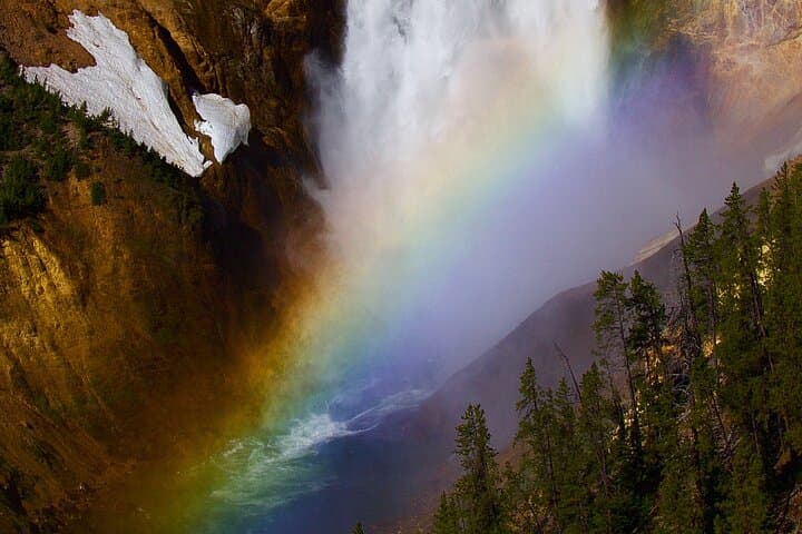 Private Yellowstone Journey: One-Day Wildlife & Geyser Tour from Gardiner photo 3