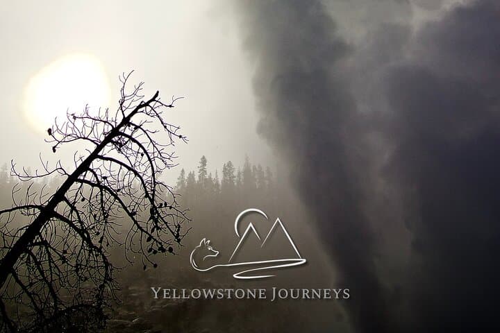Private Yellowstone Journey: One-Day Wildlife & Geyser Tour from Gardiner photo 6