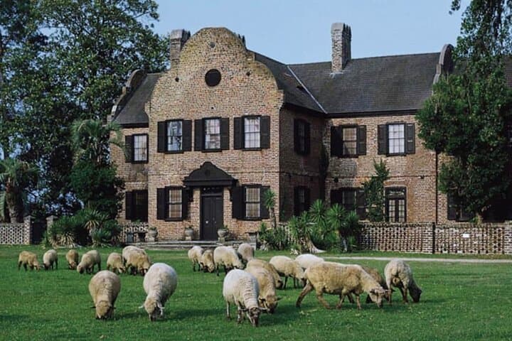 Explore Historic Plantations of Charleston: Middleton & Magnolia Private Chauffeur Tour photo 2