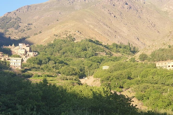 Atlas Mountains Day Trip: Berber Villages, Ait Mizane Valley & Toubkal Views from Marrakech photo 3