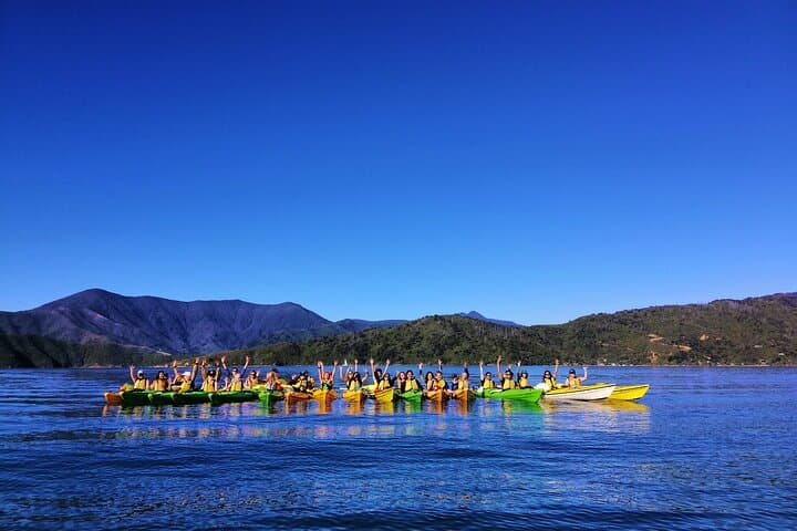 Explore Marlborough Sounds: Full-Day Guided Sea Kayak Adventure from Picton photo 3