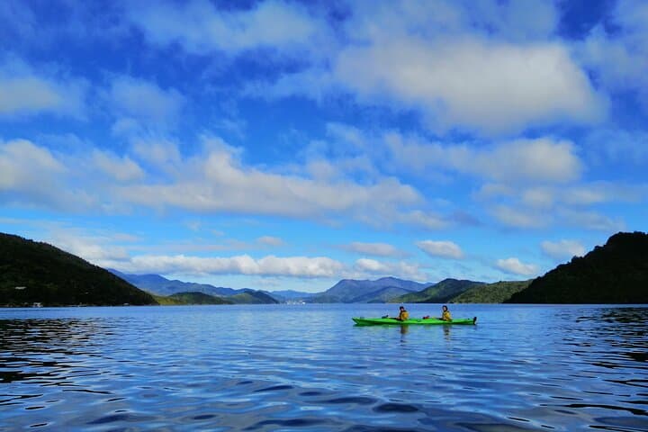 Explore Marlborough Sounds: Full-Day Guided Sea Kayak Adventure from Picton photo 5