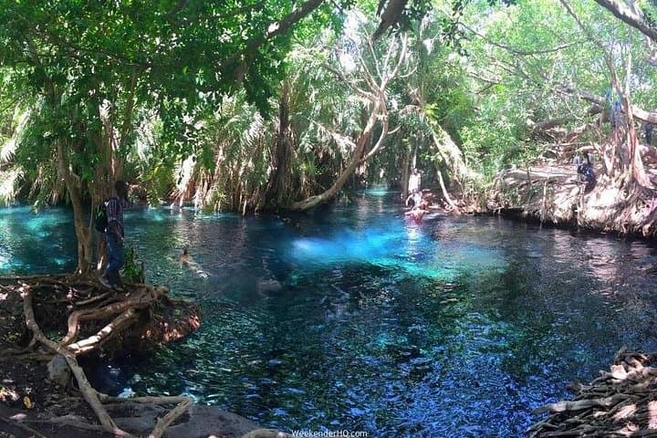 Kilimanjaro Waterfalls Hike and Moshi Hot Springs Day Trip photo 3