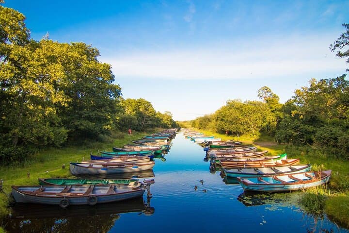 Killarney Highlights Half-Day Tour — Muckross House, Ross Castle & Torc Waterfall photo 5