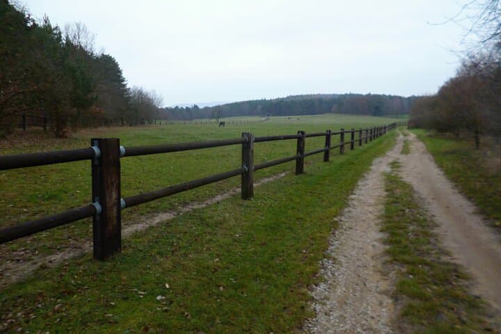 Prague to Karlstejn Trail Running — 17km Castle-Bound Trail Run from the City photo 3