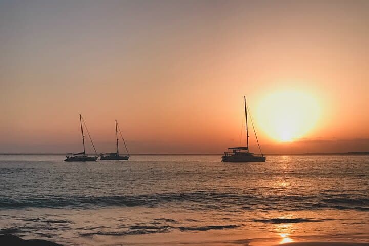 Sunset Catamaran Cruise in Puerto del Carmen — 2-Hour Dolphins & Drinks
