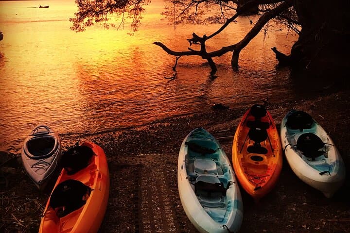 Paquera Sunset & Full Moon Kayak Tour — Isla Jesucita Moonlight Kayaking and Bioluminescence photo 2
