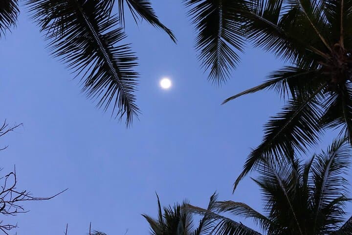 Paquera Sunset & Full Moon Kayak Tour — Isla Jesucita Moonlight Kayaking and Bioluminescence photo 4
