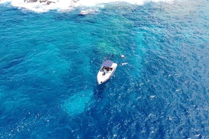 Luxury Private Snorkel Charter on Kona Coast — Captain Cook & Dolphin Watching photo 6