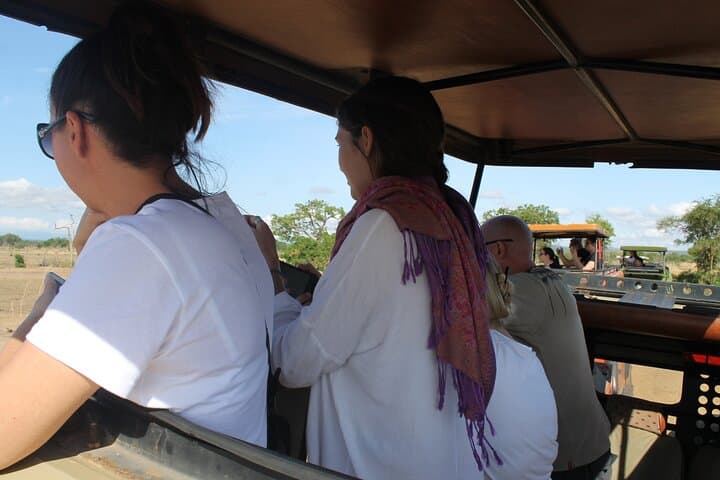 Two-Day Private Mikumi Safari: Lions, Elephants & Uluguru Mountain Views photo 3