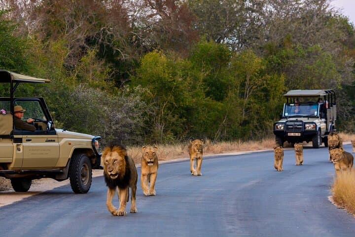 2-Day Kruger Safari from Cape Town — Big Five Game Drives & Hazyview Overnight photo 3
