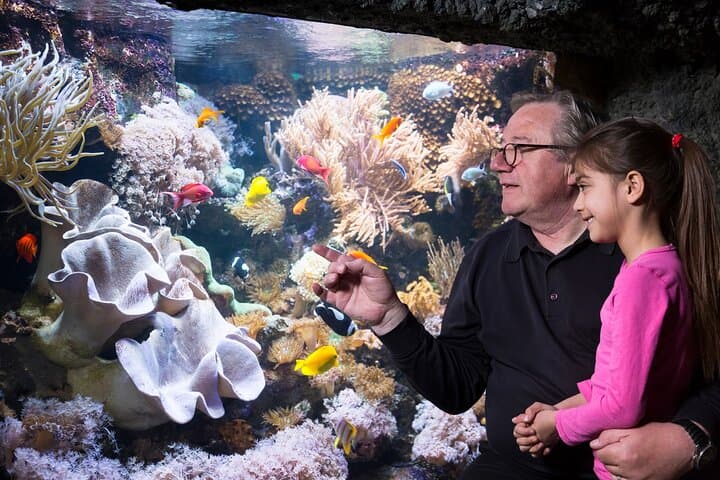 SEA LIFE Speyer — Underwater Walkthrough & Practical Visitor Guide photo 5