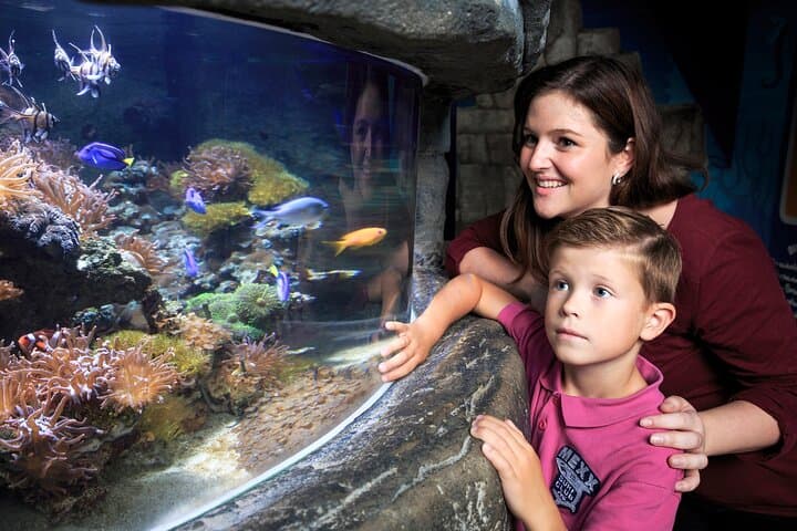 SEA LIFE Timmendorfer Strand: Explore Baltic Seas & Tropical Tanks photo 2