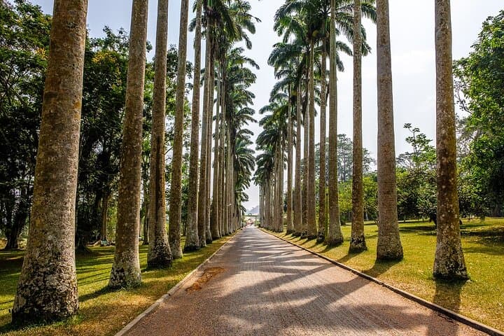 Aburi Botanical Gardens & Boti Falls: Full-Day Private Tour from Accra