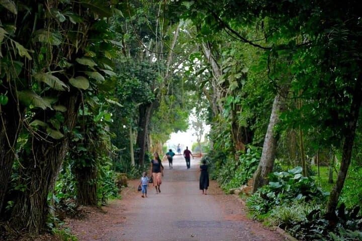 Aburi Botanical Gardens & Boti Falls: Full-Day Private Tour from Accra photo 2