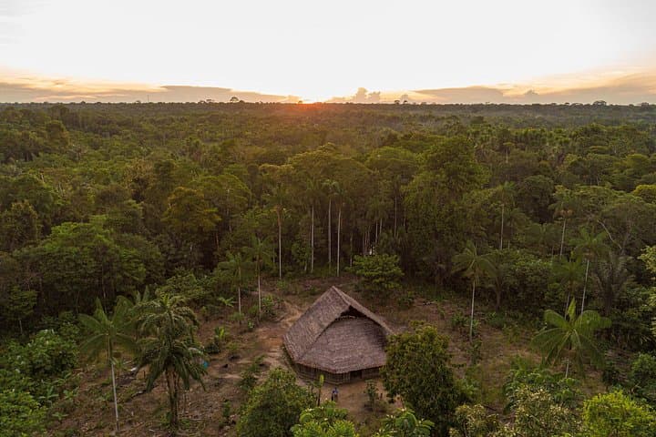 Amazonas Natural and Cultural 5-Day Tour — Leticia to Puerto Nariño Rainforest Immersion photo 3