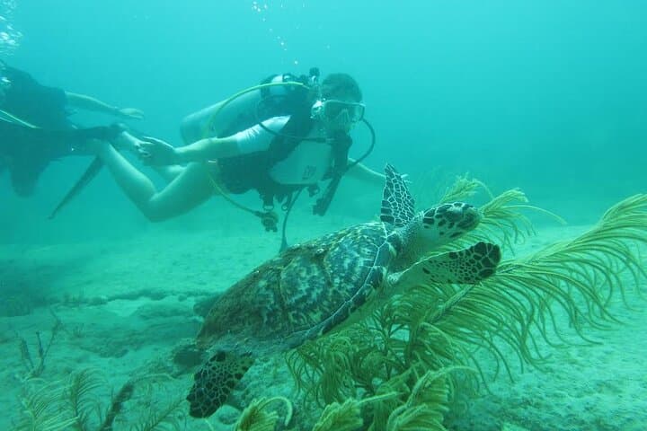 West Palm Beach Private Scuba Experience: Expert-Led Introductory Dive photo 2