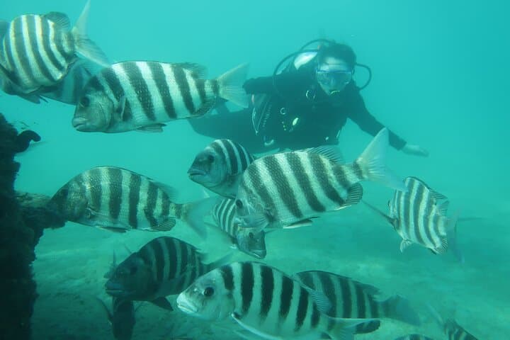 West Palm Beach Private Scuba Experience: Expert-Led Introductory Dive photo 4