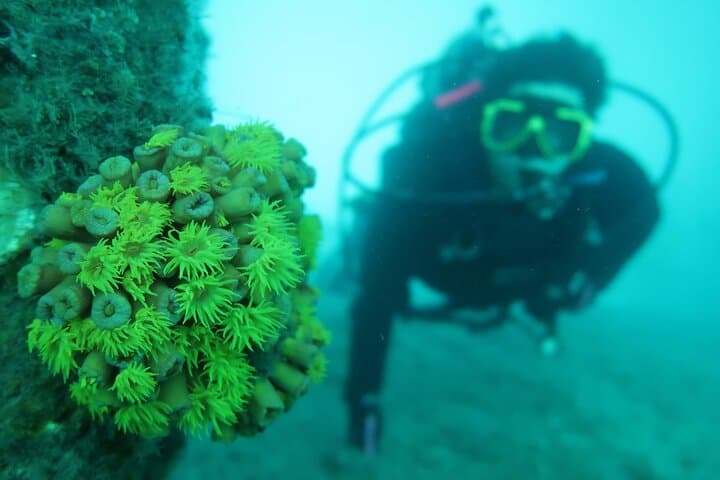West Palm Beach Private Scuba Experience: Expert-Led Introductory Dive photo 5