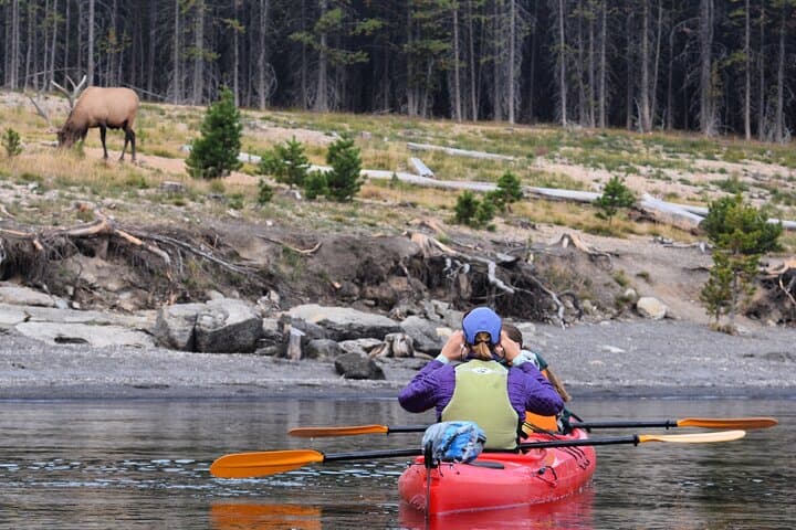 Paddle Yellowstone Lake: Half-Day Kayak Tour Through Geothermal Wonders photo 5