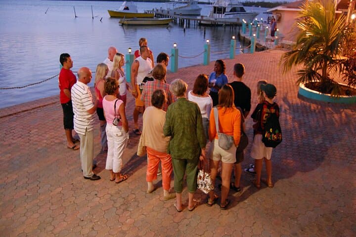 Luminous Lagoon Night Cruise — Glowing Waters Near Montego Bay photo 5