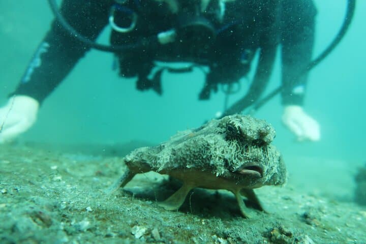 West Palm Beach Private Scuba Experience: Expert-Led Introductory Dive photo 6