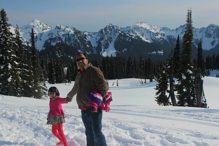 Full-Day Mount Rainier Private SUV Tour from Seattle photo 4