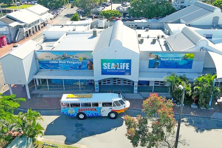 Aquaduck Mooloolaba Amphibious Tour — 1-Hour Sunshine Coast Beach-and-Canal Cruise photo 4