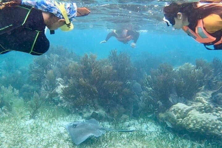 Private Catamaran to Isla Mujeres with Open Bar & Snorkeling from Cancun photo 5