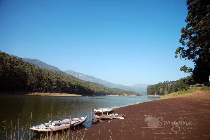 Private 5-Day Kerala Tour: Munnar, Periyar & Alleppey Houseboat photo 6